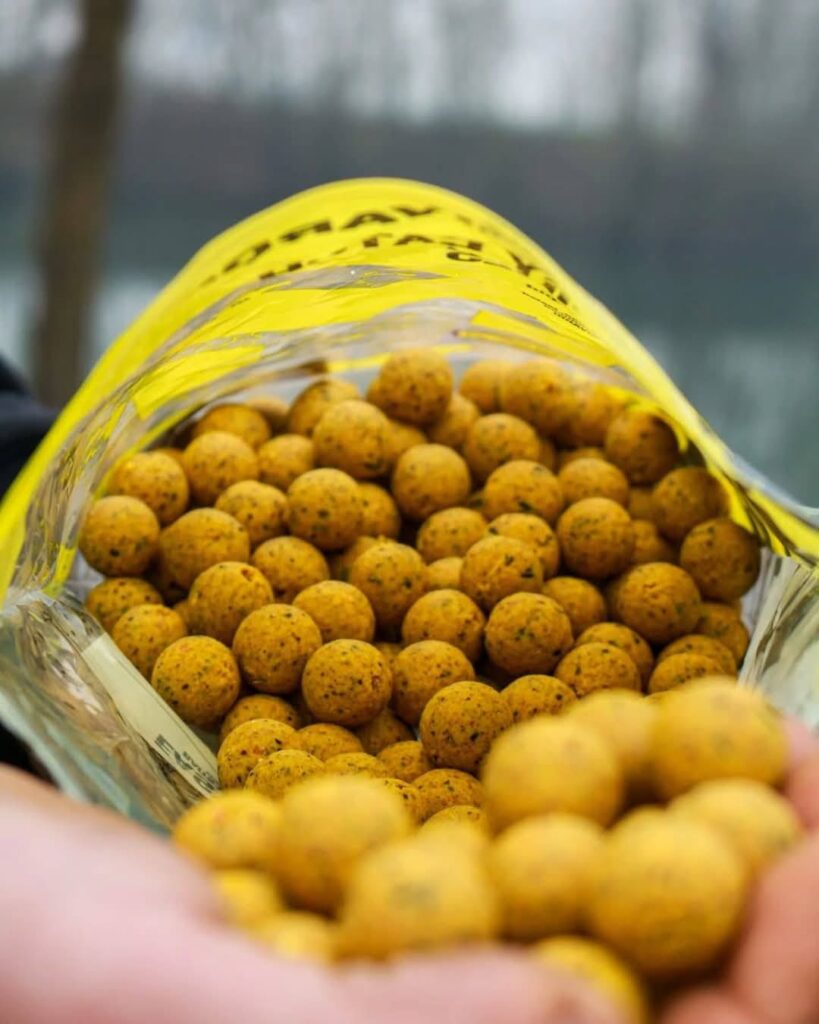 Bouillette dense carpe